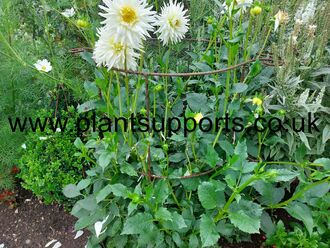 Pack of 2 Plant Girdle Tall - 43cm x 100cm A0091